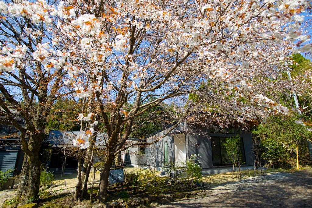 Forest Inn Born Yufu Exterior photo