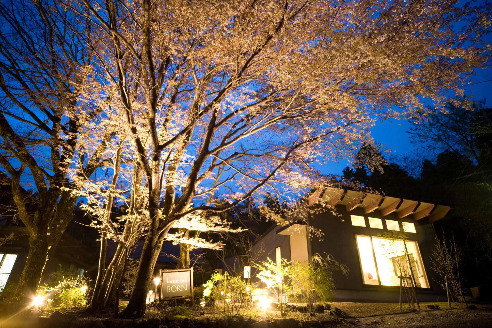 Forest Inn Born Yufu Exterior photo